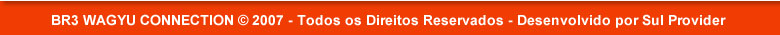 Desenvolvido por Sul Provider