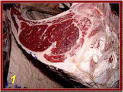 ribeye1.jpg